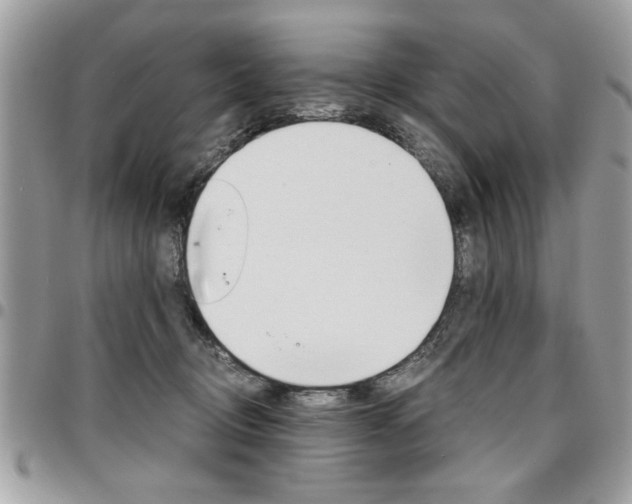 X0000096960370200802080905