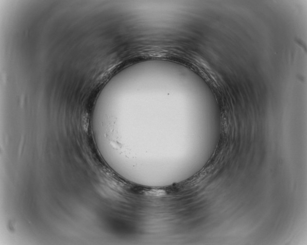 X0000096960374200802080905
