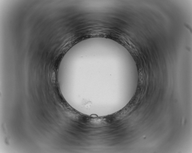 X0000096960375200802080905
