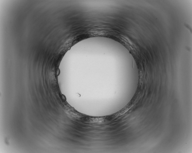 X0000096960377200802080905