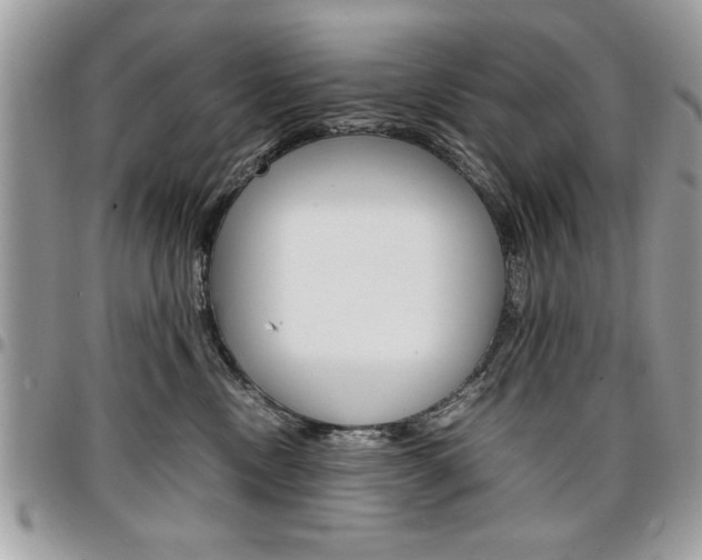 X0000096960378200802080905