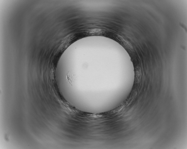X0000096960379200802080905