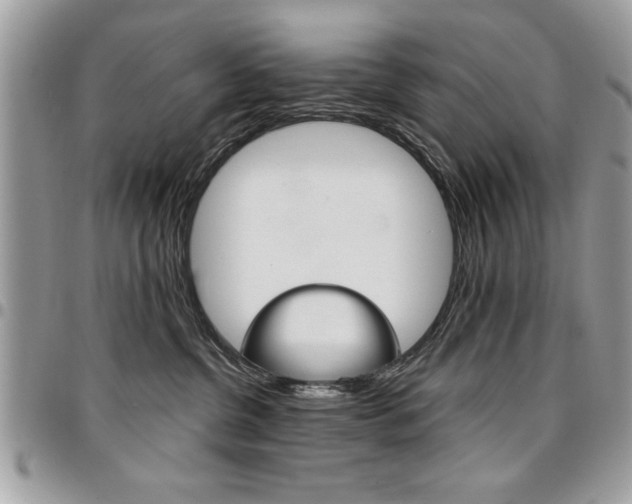 X0000096960380200802080905