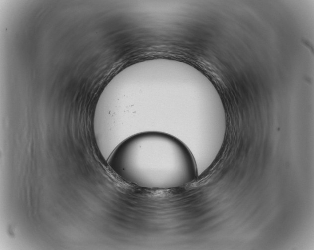X0000096960382200802080905