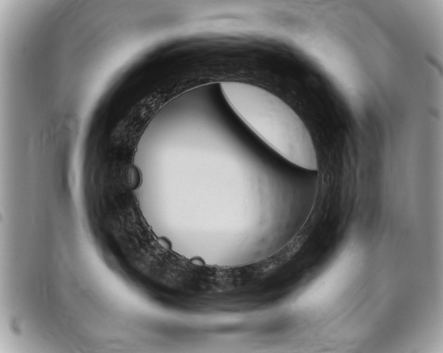 X0000096960383200802080905