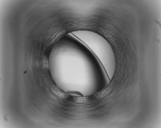 X0000096960384200802080905