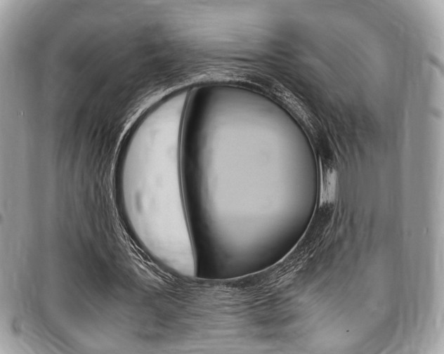 X0000096960387200802080904