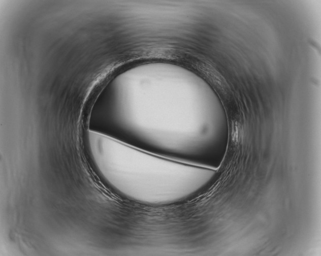 X0000096960388200802080904
