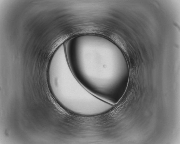 X0000096960389200802080904