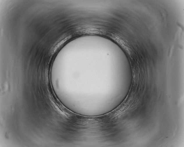 X0000096960390200802080904