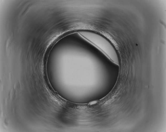 X0000096960391200802080904