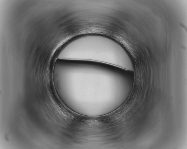 X0000096960392200802080904