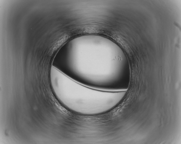 X0000096960393200802080904