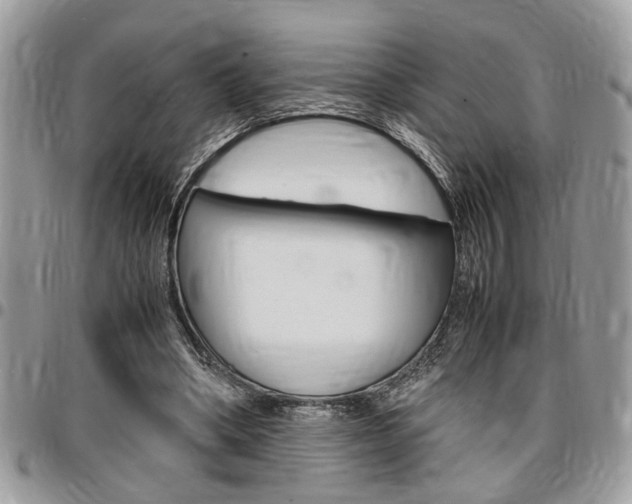 X0000096960394200802080904