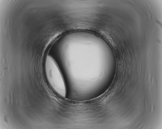 X0000096960395200802080904