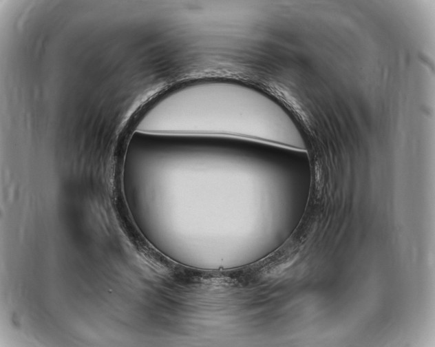 X0000096960396200802080904