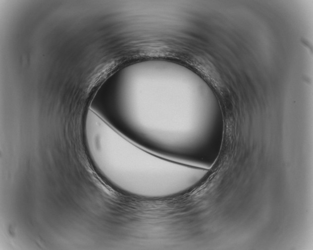 X0000096960397200802080904
