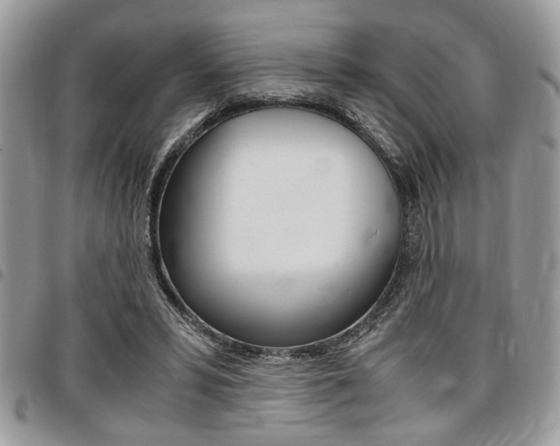 X0000096960399200802080904