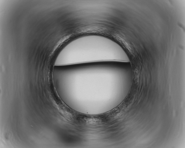 X0000096960400200802080904
