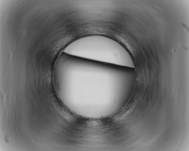X0000096960402200802080904