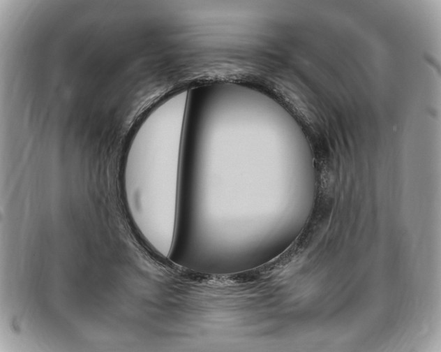 X0000096960403200802080904