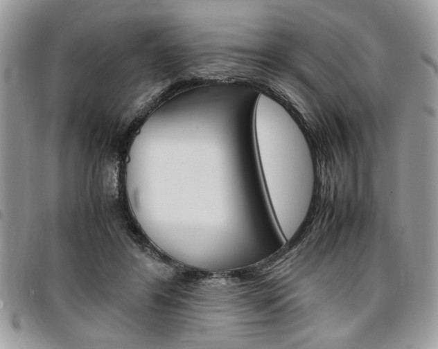 X0000096960404200802080904