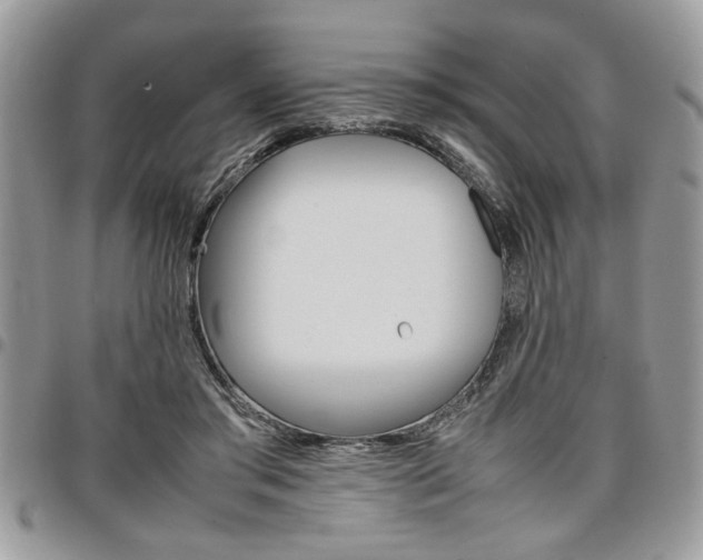X0000096960405200802080904