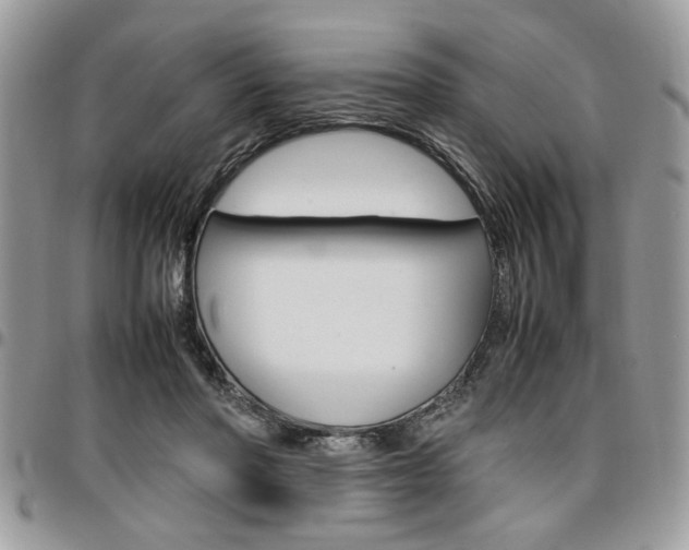 X0000096960406200802080904