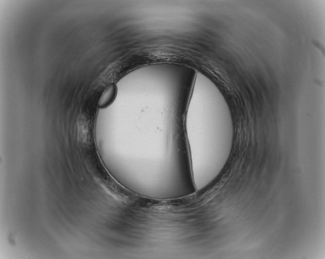 X0000096960408200802080904