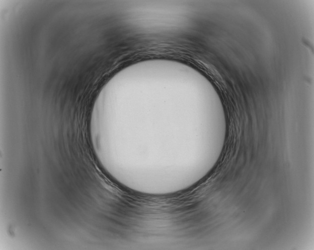 X0000096960409200802080904