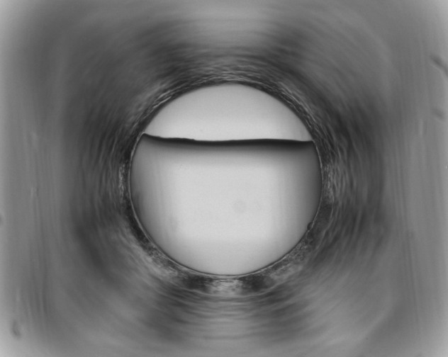 X0000096960410200802080904