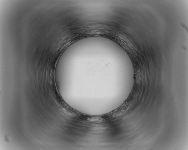 X0000096960414200802080904