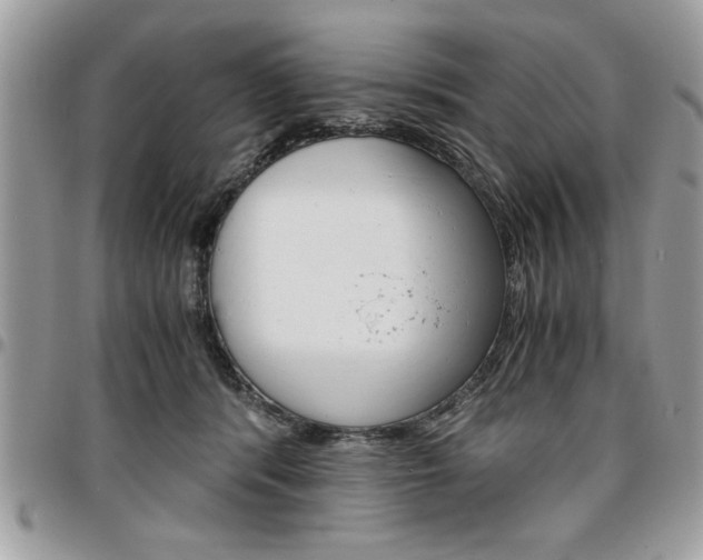 X0000096960416200802080904