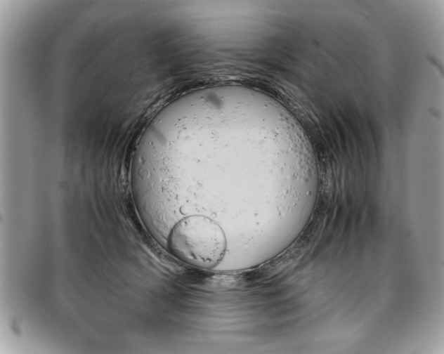 X0000096960418200802080904