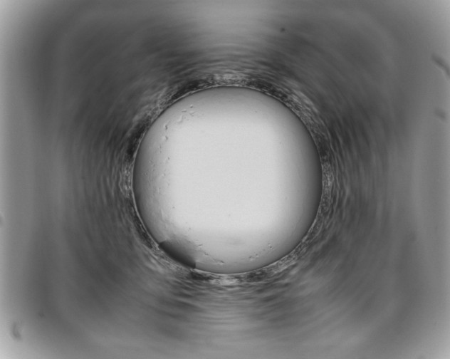 X0000096960419200802080904