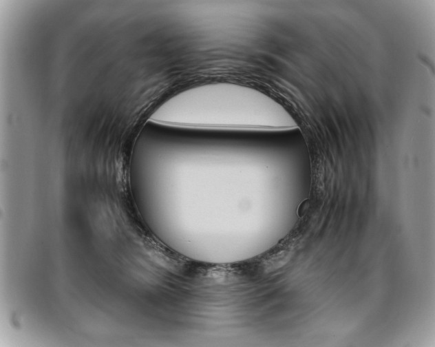 X0000096960420200802080904