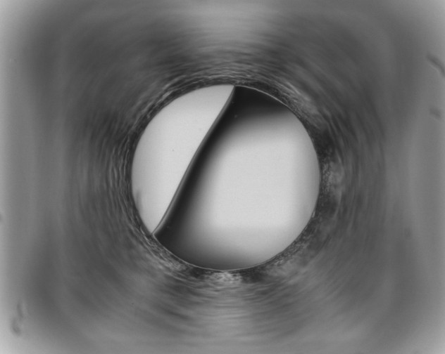 X0000096960421200802080904