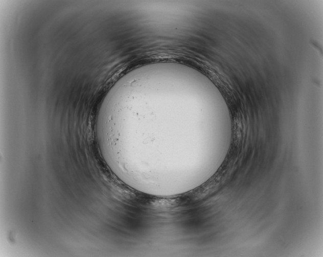 X0000096960422200802080904