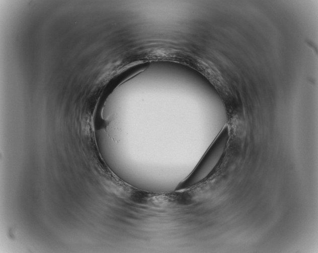 X0000096960423200802080904