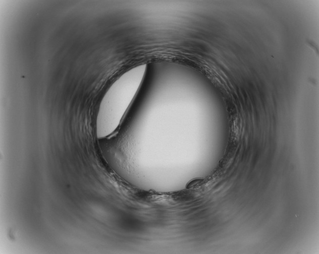 X0000096960424200802080904