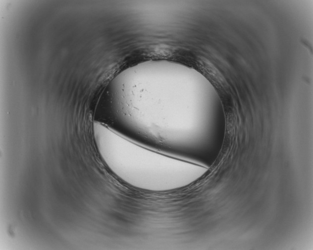 X0000096960425200802080904
