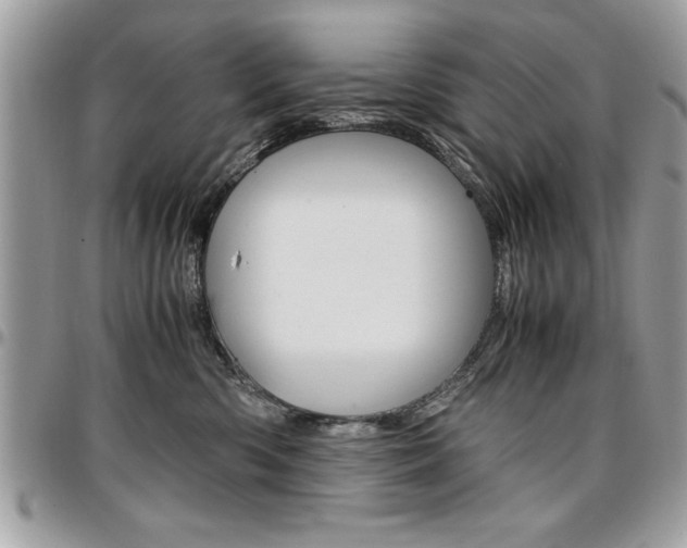 X0000096960426200802080904