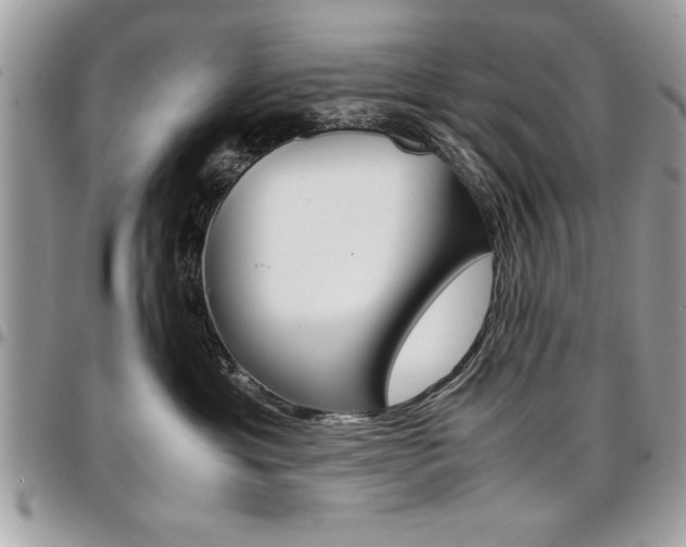 X0000096960429200802080904