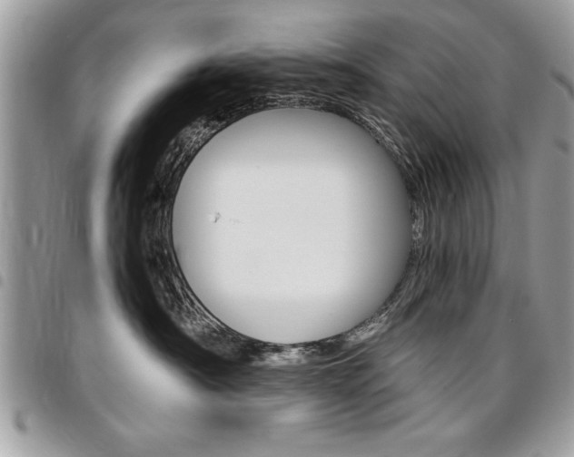 X0000096960430200802080904