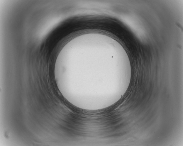 X0000096960431200802080904