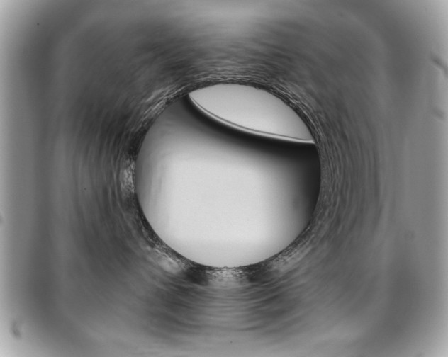 X0000096960432200802080904