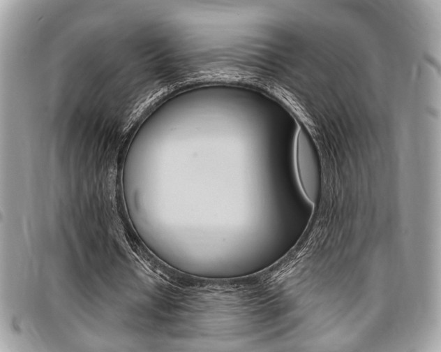 X0000096960434200802080903