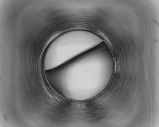 X0000096960435200802080903