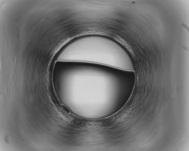 X0000096960436200802080903