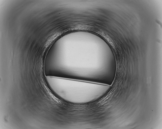 X0000096960437200802080903